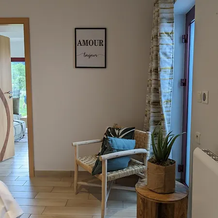 Апартаменты Aux Fleurs Des Champs - Avec Terrasse, Parking Et Piscine Lautenbach