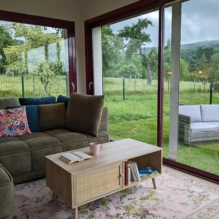 Lejlighed Aux Fleurs Des Champs - Avec Terrasse, Parking Et Piscine Lautenbach