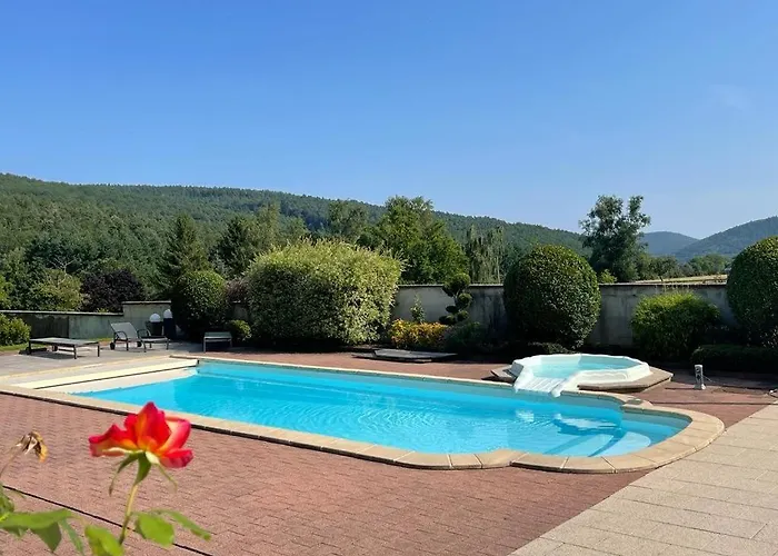 Aux Fleurs Des Champs - Avec Terrasse, Parking Et Piscine Appartement Lautenbach